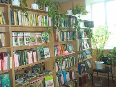 Верхнемедведицкая сельская библиотека