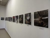 Культурно-выставочный центр «Башня»