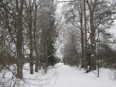 Парк регулярно-пейзажной планировки