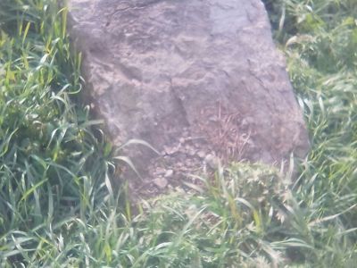 Памятник воинам, погибшим в годы Великой Отечественной войны (1941 - 1945 гг.)