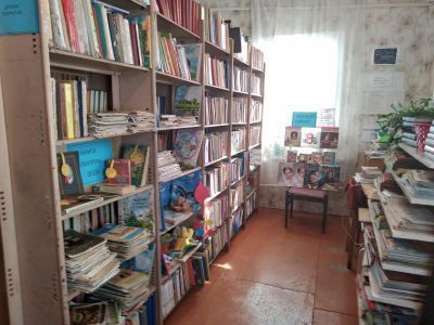 Лесно-Полянская сельская библиотека