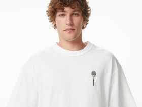 Мужская хлопковая футболка Lacoste