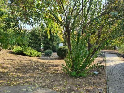 Сад "Бавария"