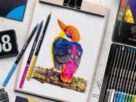 Набор карандашей цветных ACMELIAE "Blackwood Artmate" 12 цв, в металлическом футляре