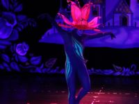 Санкт-Петербургский государственный детский драматический театр «На Неве»