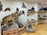 Историко-краеведческий музей с кабинетом-музеем А. Я. Кремса