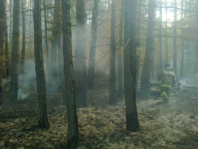 В Момском районе Якутии потушены все действовавшие пожары