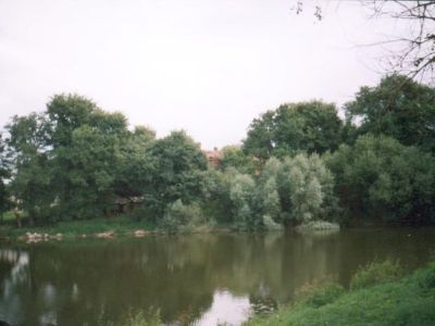 Усадьба "Вязье". Парк