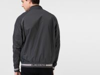 Мужское пальто Lacoste