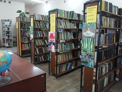 Старокрещенская библиотека – филиал № 12