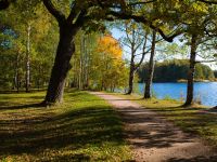 Парк культуры и отдыха «Дубки»