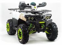 Квадроцикл MOTOLAND 200 Wild Track Lux ( Баланс. вал) (2021 Г.)