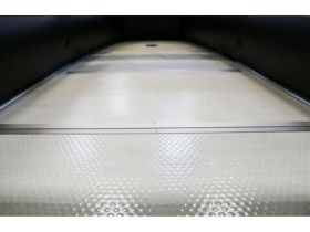 Лодка ПВХ POLAR BIRD PB-400E New Eagle (Орлан)