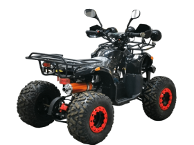 Квадроцикл BISON Kids 125 LD