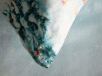 Постельное белье Блестящий декабрь/Shining December