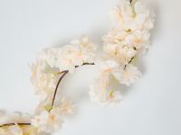 Ветвь Eternal Garden I