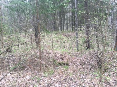 Братская могила 18-ти партизан отряда Шевчука, 1919 г.