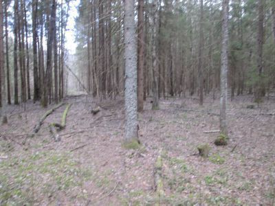 Памятный камень в честь боевых действий (16) пятой партизанской бригады в 1942-1943 гг. против гитлеровцев