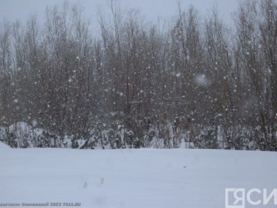 Отморожения в Якутии: как предотвратить и оказать первую помощь