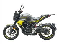 Мотоцикл REGULMOTO Nibbler 300 4V