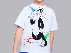 Фуфайка трикотажная для мальчиков (футболка)