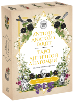 Antique Anatomy Tarot. Таро античной анатомии