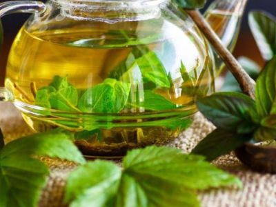 Листья мяты, смородины, малины: польза и вред