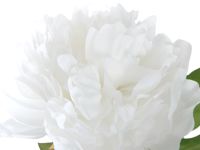 Цветок Peony Plush