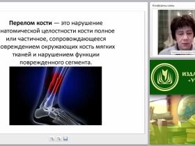 Первая медицинская помощь при переломах костей и вывихах. Транспортная иммобилизация. Транспортировка пострадавшего