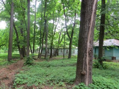 Усадьба Измалково