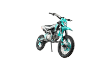 Питбайк MOTOLAND JKS125E