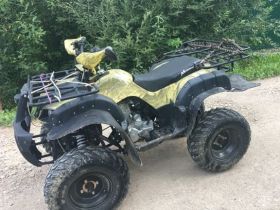 Квадроцикл MOTOLAND 250 Adventure (2021 Г.)