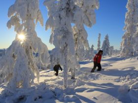 Арктическая автоэкспедиция "Индигирка". Якутск – Оймякон – Чокурдах – Русское Устье