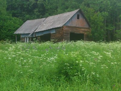 Домик-музей