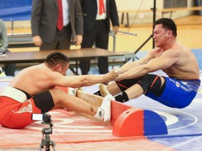 Федеральный стандарт по мас-рестлингу даст возможность оснастить залы тренажерами