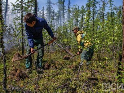 Лесной пожар потушили в 5 км от Покровска