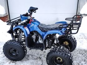 Квадроцикл MOTOLAND 125 Fox A