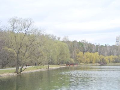 Парк с системой прудов