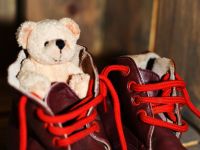 Музей «Мой любимый Мишка»