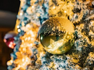 Якутяне рассказали, сколько готовы потратить на новогодний стол