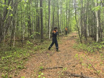 Еще один пенсионер-грибник заблудился в лесу в Якутске