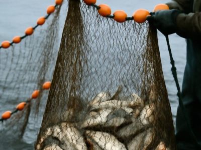 С 15 мая вводят запрет на рыбалку в Якутии