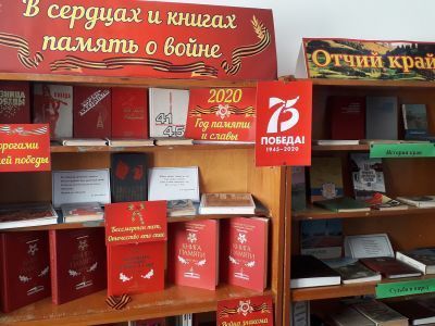 Библиотека с. Каменка