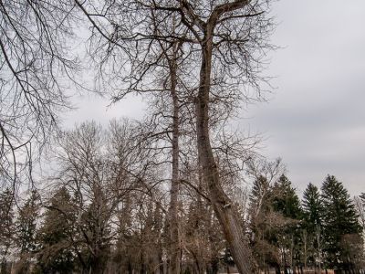 Английский парк с искусственными прудами