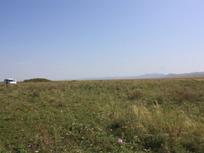 Братская могила погибших партизан