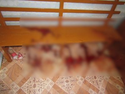 Житель села Тит-Ары предстанет перед судом по обвинению в убийстве брата