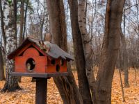 Парк культуры и отдыха «Кузьминки»