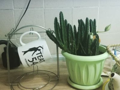 Билеты на Джек-пот (Художественный музей) / Театр | Афиша | ИнфоТаймс