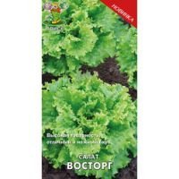 Салат Восторг