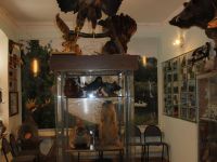 Руднянский историко-краеведческий музей